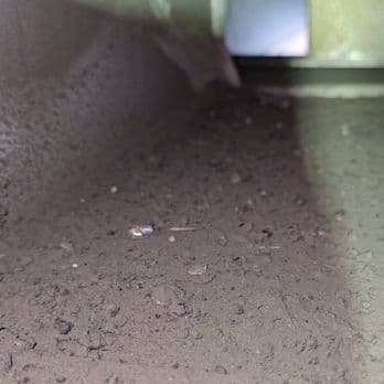 Severe Contamination